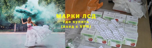 сатива Алзамай