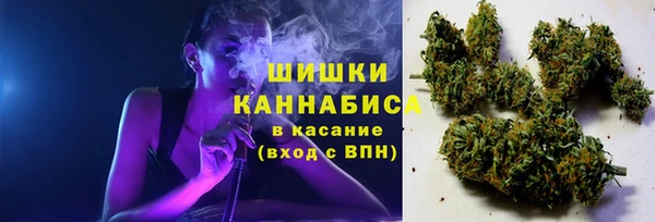 гидропоника Няндома