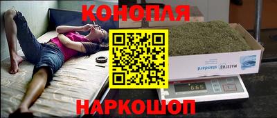 крисы Свободный