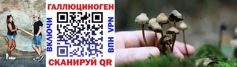 Галлюциногенные грибы Cubensis  Сунжа 