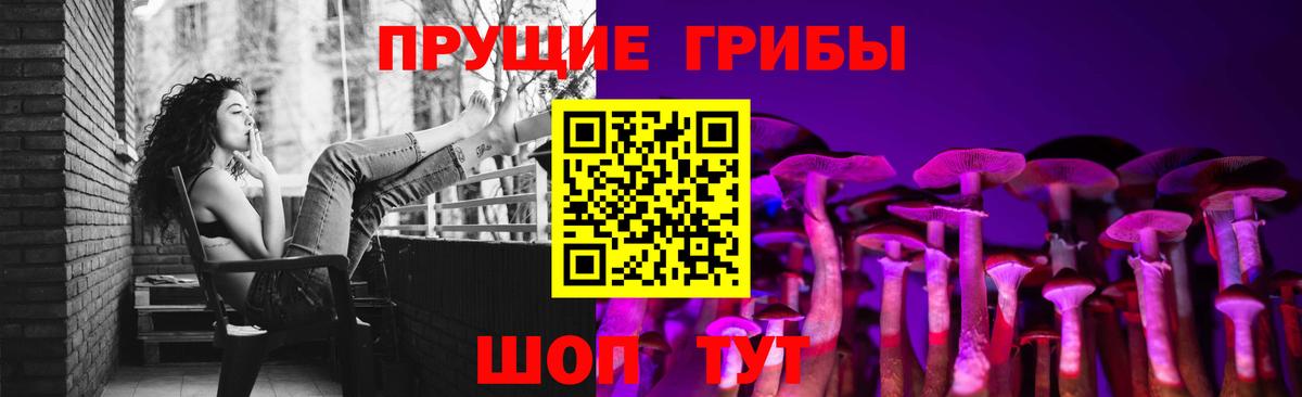 Галлюциногенные грибы мухоморы  купить наркотики цена  Сунжа  Галлюциногенные грибы Psilocybine cubensis  Вход с VPN 
