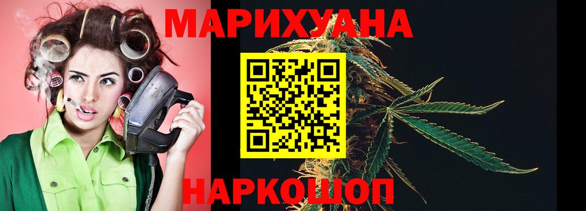 Канабис планчик Сунжа